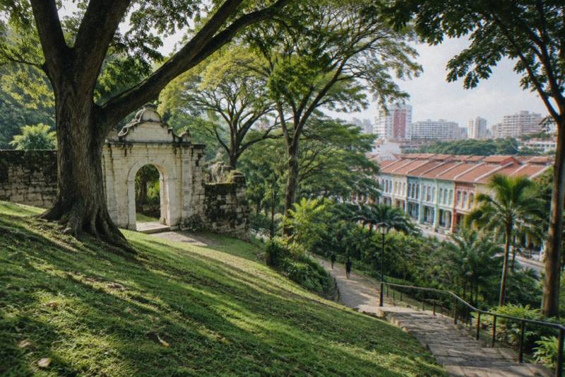 Dappled morning light under big rain trees on the grassy slope of Fort Canning Hill, an old pale stone gateway of a former fort wall to one side, a winding path with stone steps going down, one tiny distant figure.