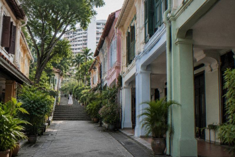 Soft afternoon light on Ann Siang Hill Chinatown, restored pastel shophouses climbing a gentle slope with a covered walkway, a flight of steps lined with potted plants, a tiny figure from behind.