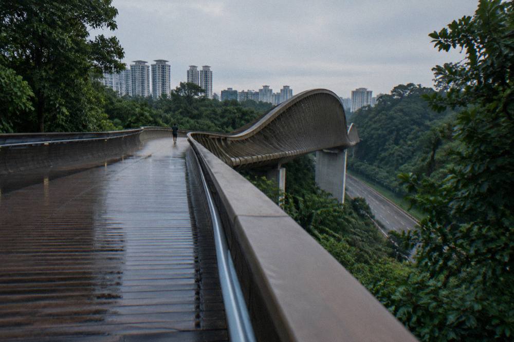 Wave-shaped wooden bridge rising above forest on a ridge in Singapore