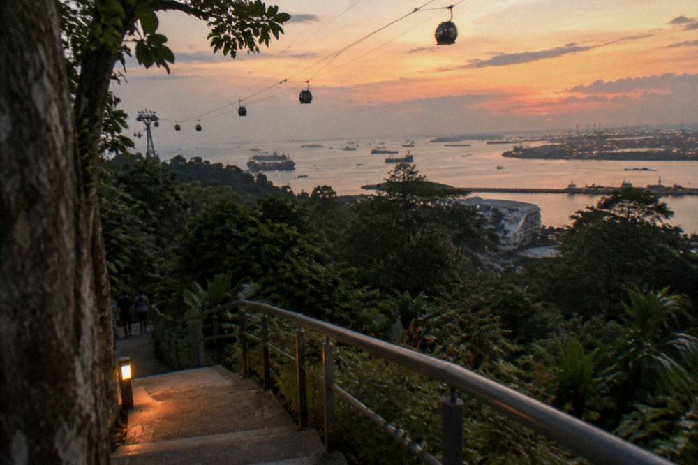 City skyline and harbour seen from a hilltop walking trail at dusk