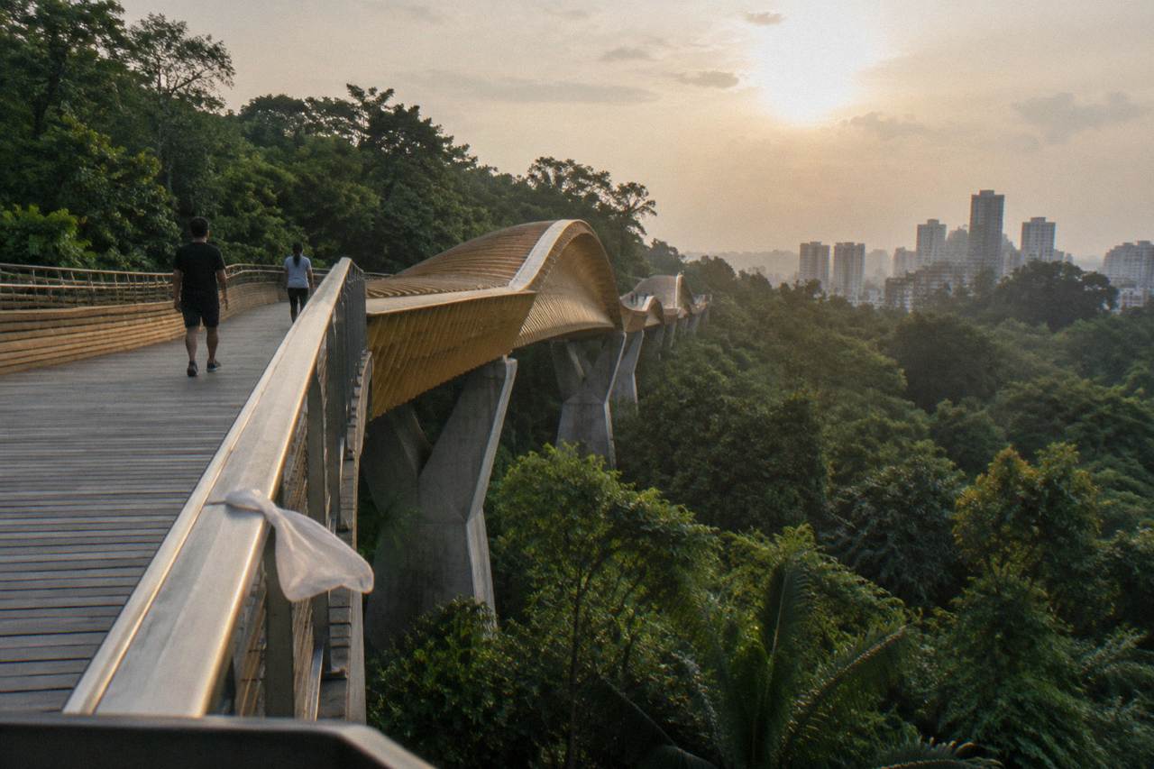 Wooden wave-shaped pedestrian bridge curving above forested ridges in Singapore