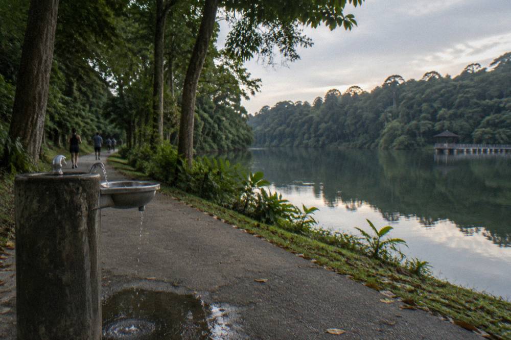 A calm reservoir surrounded by dense green forest with a shaded path along the water