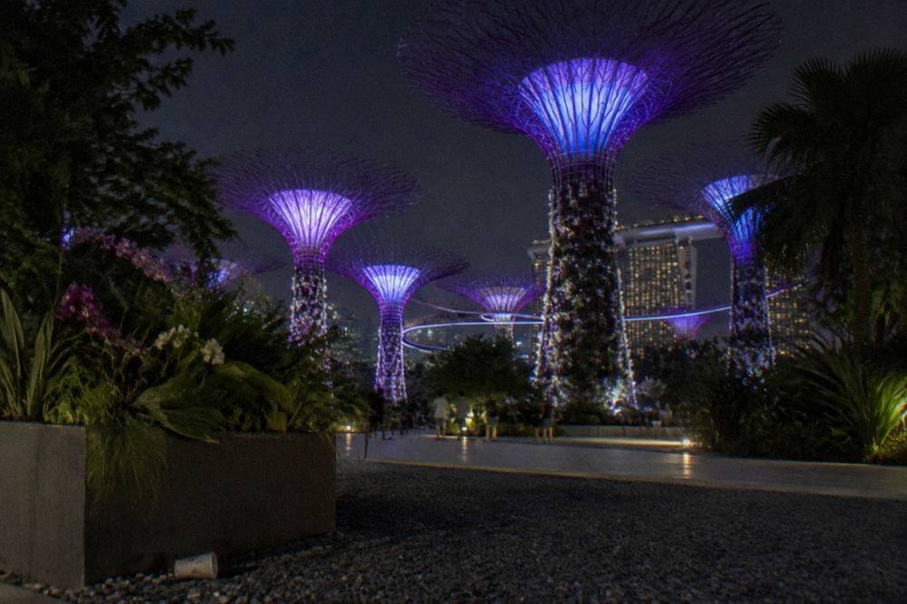 Vertical tree-shaped garden towers glowing with purple and blue light against a night sky