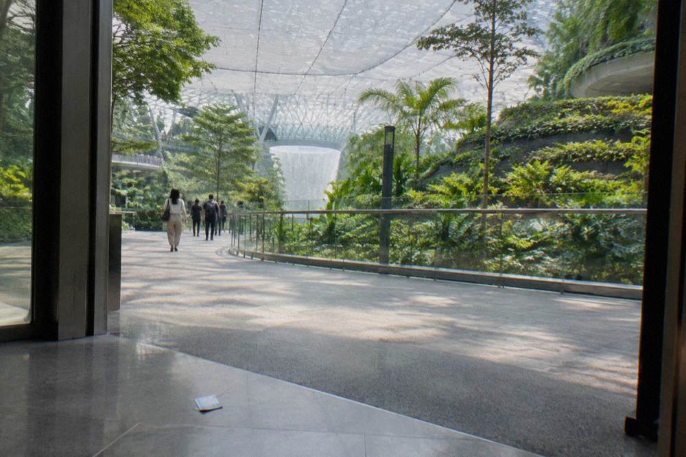 Upper level of an airport complex with attractions and netting above planted gardens