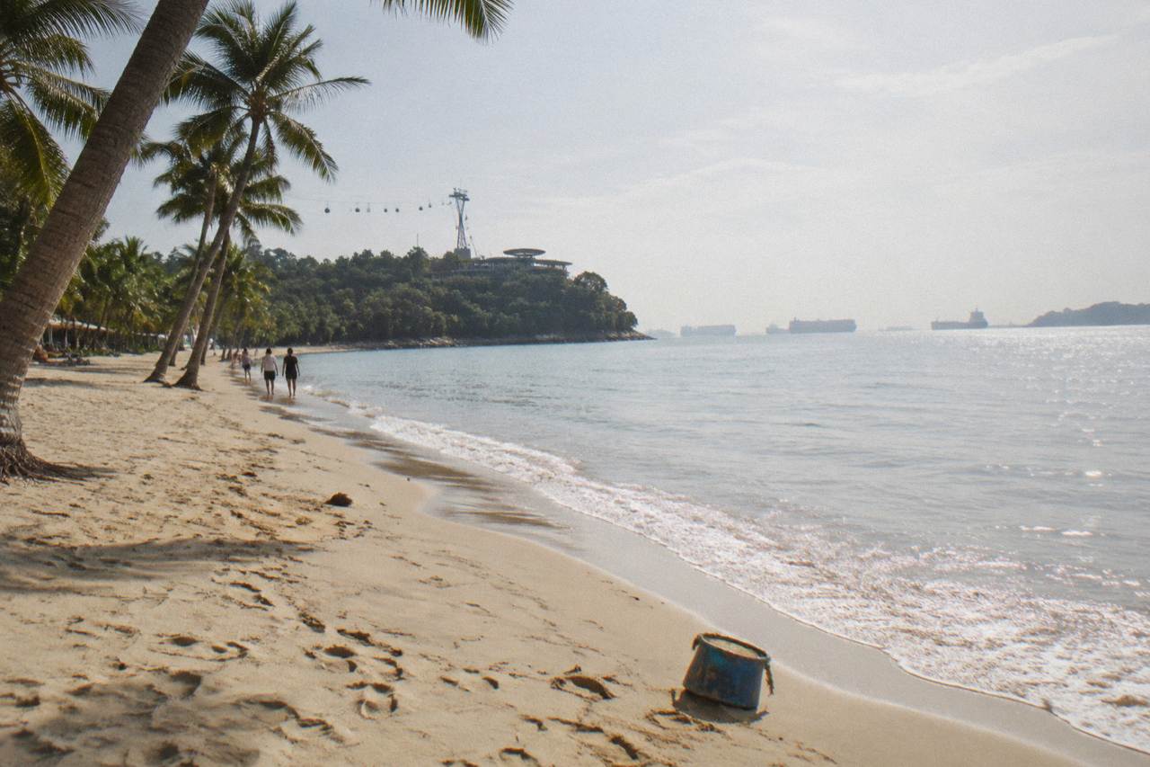 Sentosa beach shoreline with tall coconut trees and calm sea under a bright sky