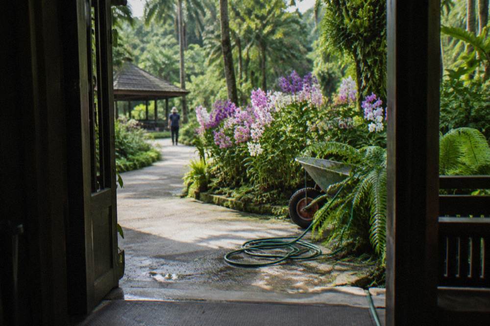 Sunlit orchid display beds seen through the entrance of a garden enclosure