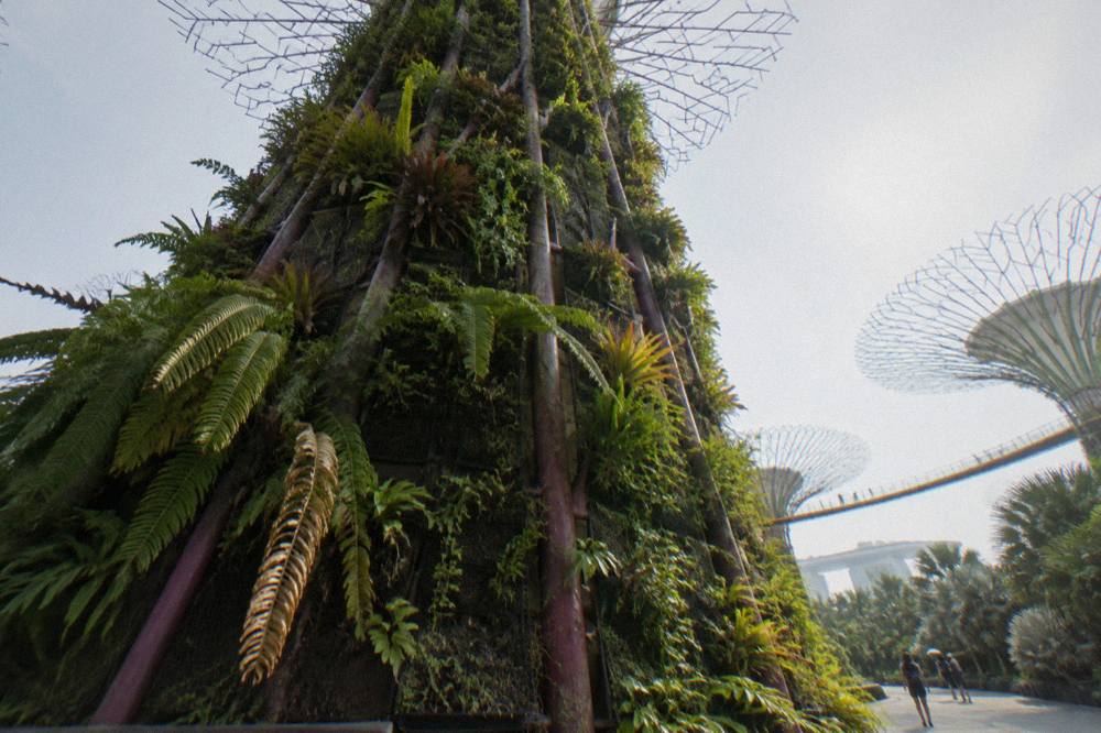 A planted tree-like tower seen from below with its frame of plants against the sky