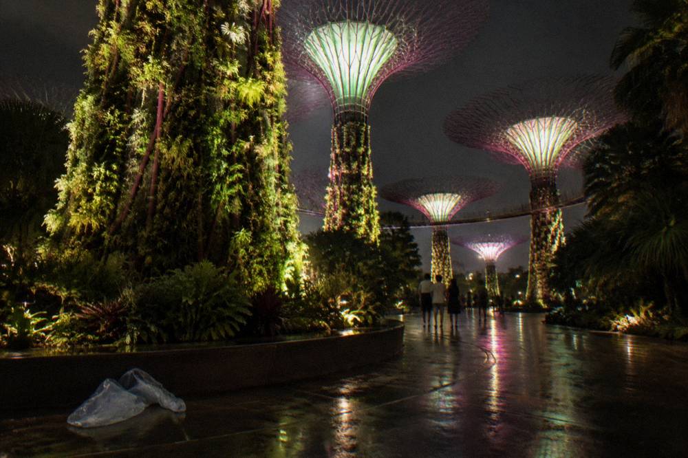 Tree-like towers lit up in colours against a dark evening sky above a garden path