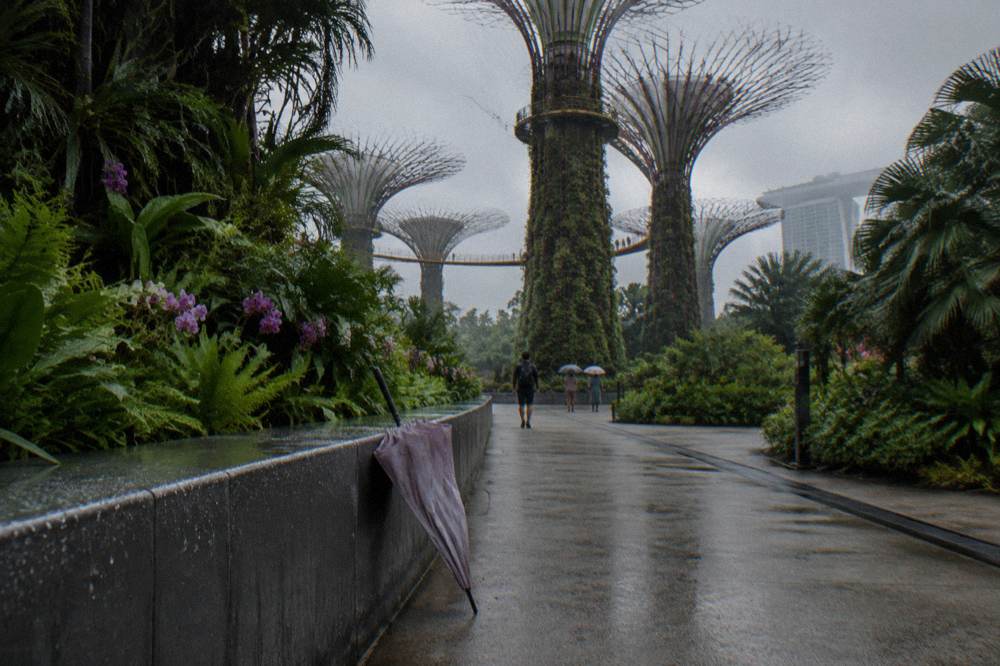 A garden path leading toward tall tree-like structures with planted frames in daylight
