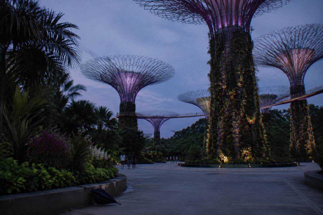 Tall tree-like structures with planted frames rising over a garden walkway in the evening