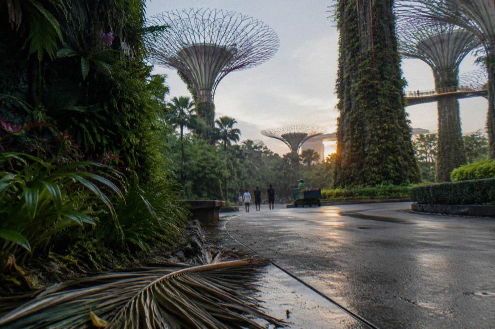 Tall tree-like garden structures rising over lawns and walkways under an open sky