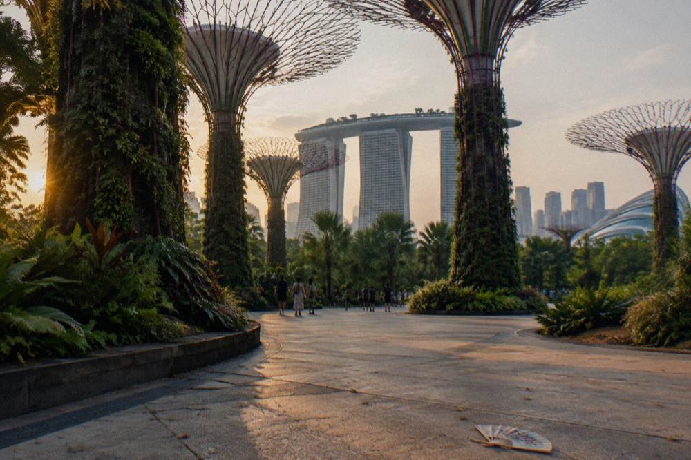 Supertree Grove towers rising above garden paths with the city skyline behind