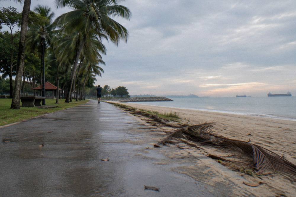Cyclists on a wide waterfront path beside the beach at East Coast Park
