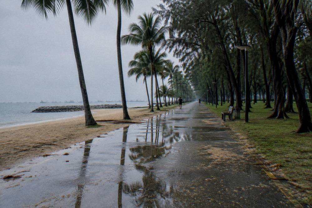 Long straight beachfront path at East Coast Park running beside the shoreline