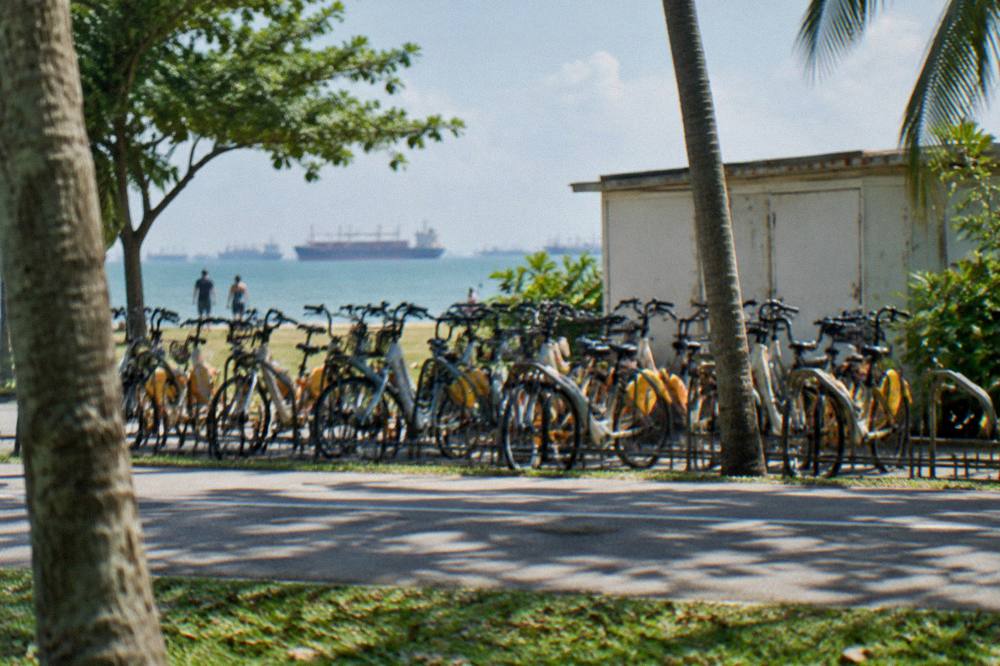 Rental bikes lined up beside the beachfront path at East Coast Park
