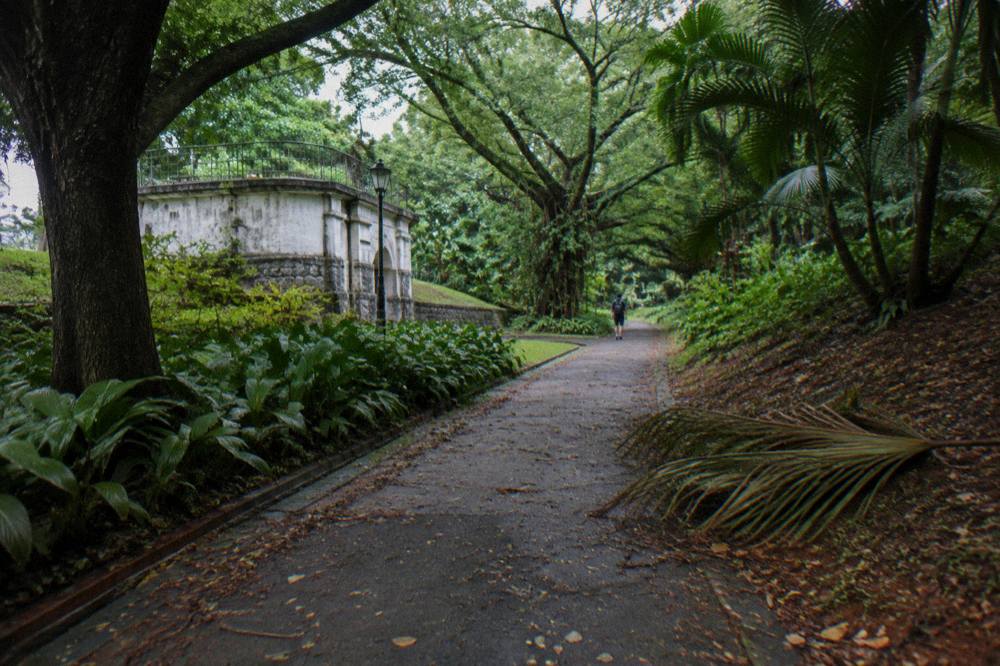 shaded walking path through green parkland on a city hill