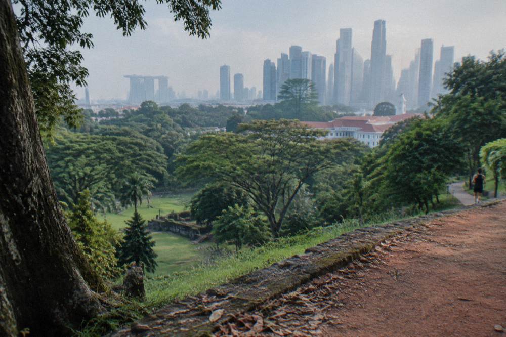 city skyline seen over treetops from a park hilltop