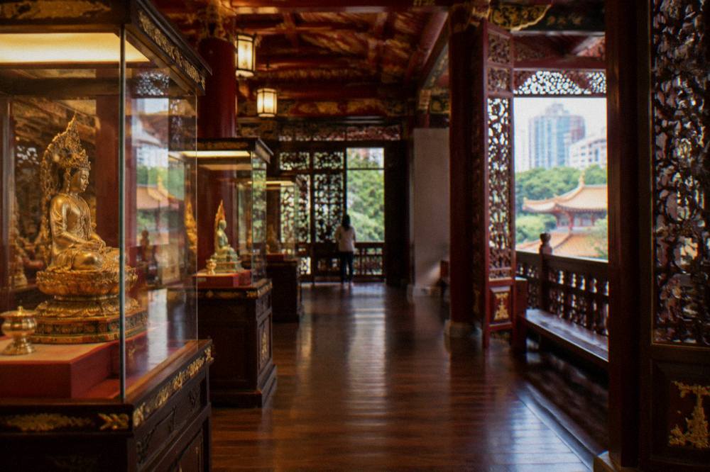 A quiet museum gallery with display cases under warm lighting