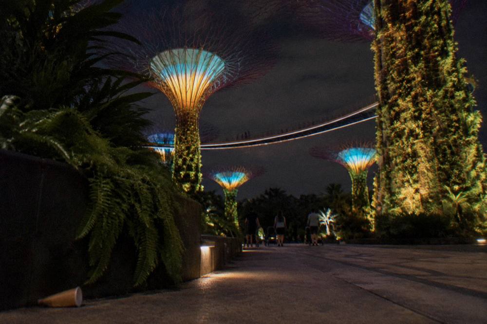 Lit Supertrees rising over dark walkways with visitors strolling beneath them