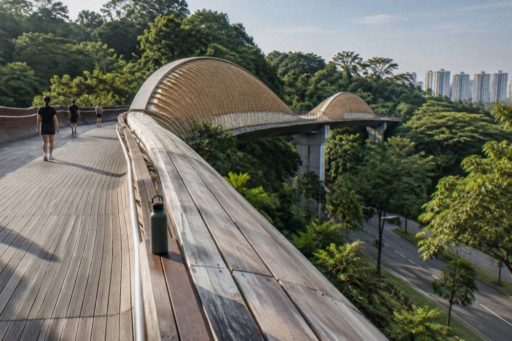 Elevated curved pedestrian bridge above treetops in a green park
