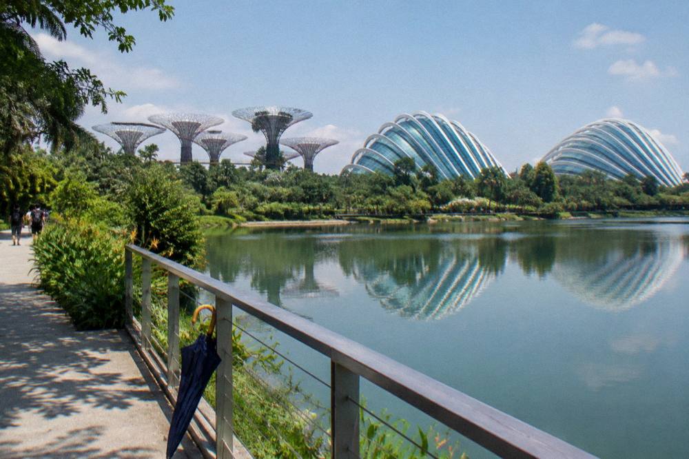 Glass conservatory domes beside a garden lake with tall tree-like structures