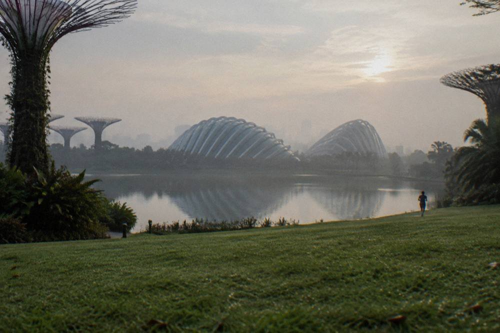 Wide lawns and lakes stretching between the Supertree Grove and the conservatory buildings