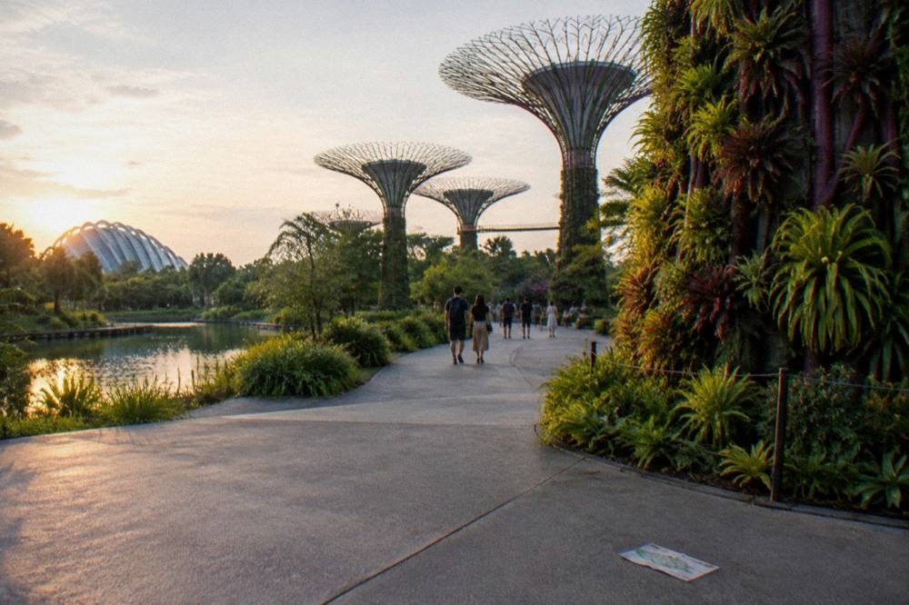 Visitors strolling on open paths between gardens and lakes in late afternoon light