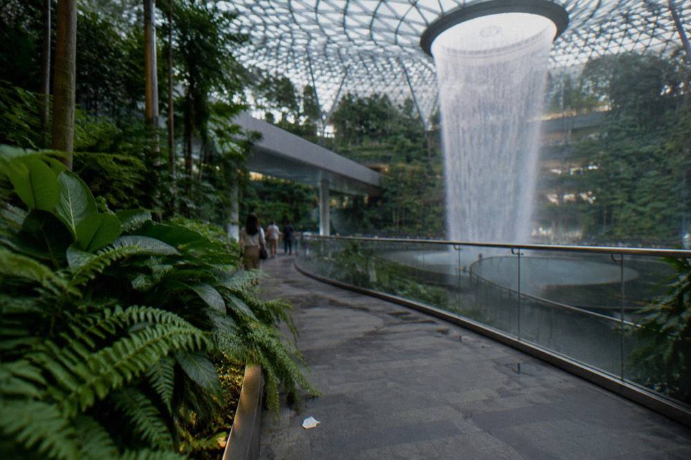 Garden walkways and planting on the public levels around the Rain Vortex at Jewel Changi Airport