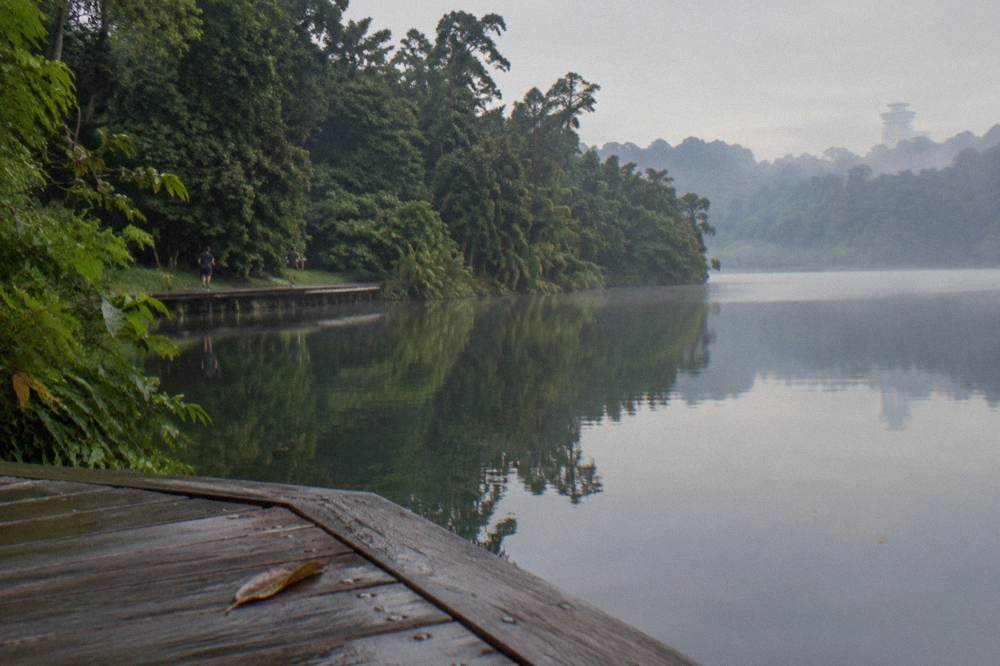 A calm reservoir framed by dense green forest under a wide sky.
