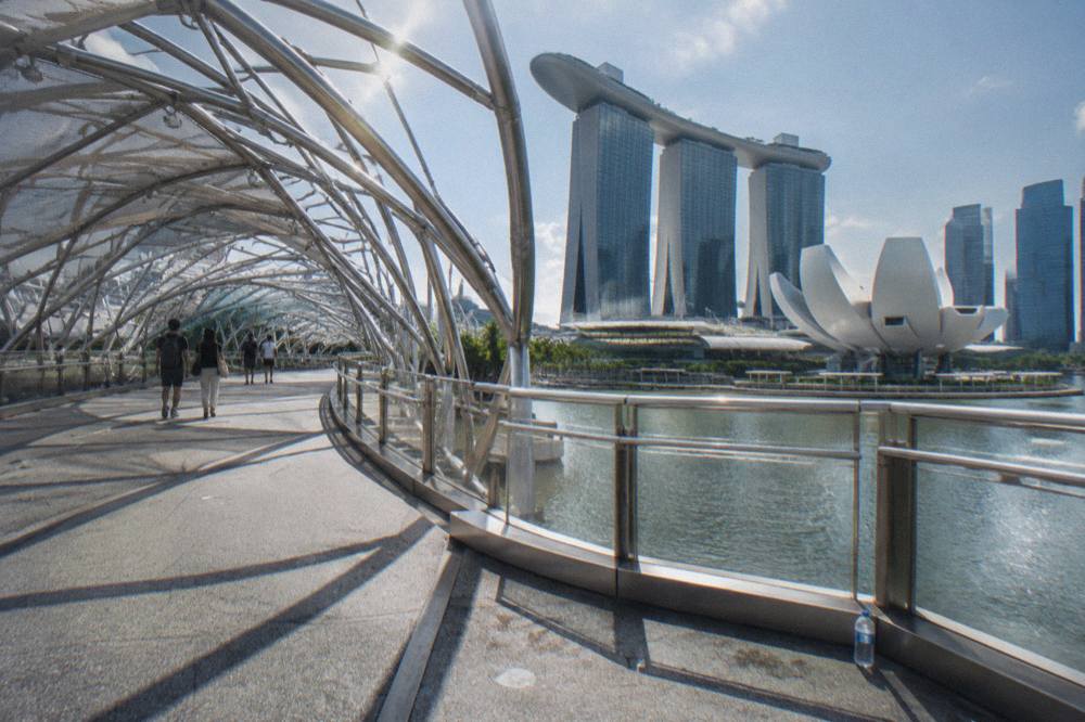 The curved Helix Bridge pedestrian walkway above the water with the bay skyline behind it