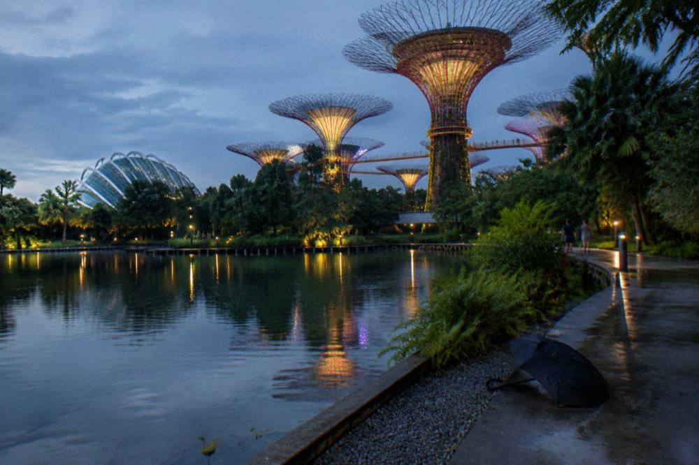 Tall tree-like structures lit along a garden walkway beside still water