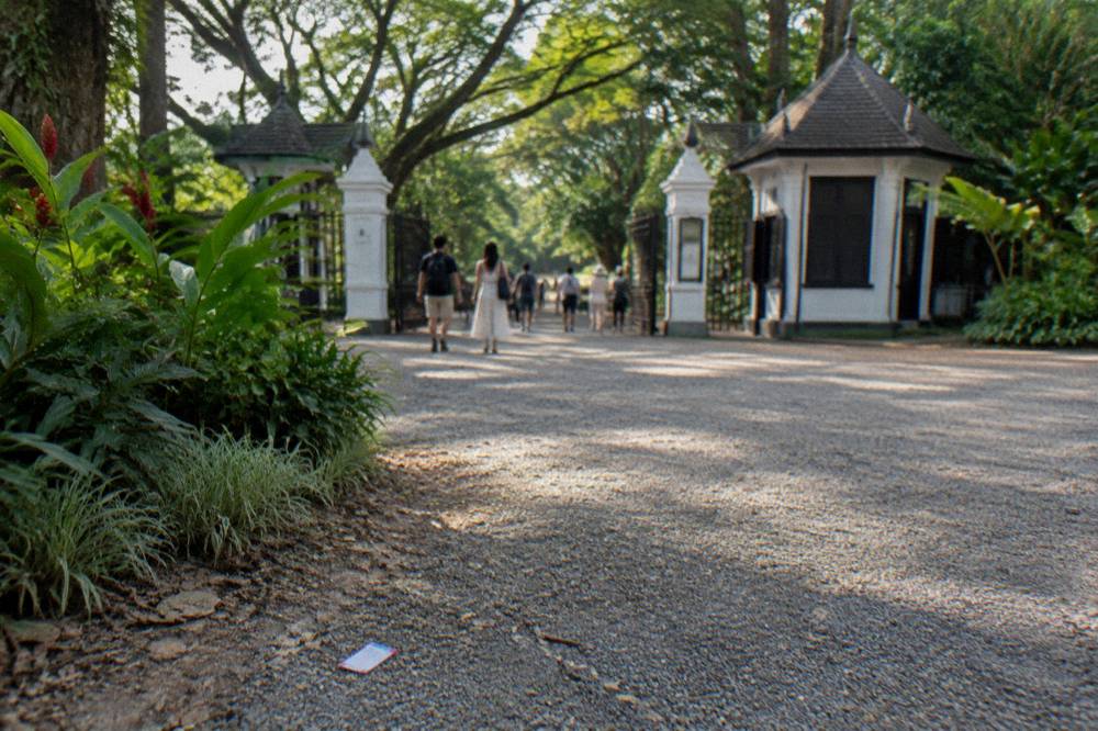 Garden entrance gate and visitors arriving on a warm afternoon