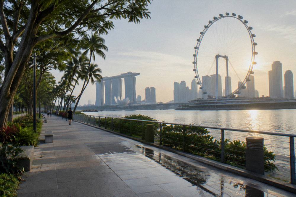 Waterfront promenade with a bay skyline behind a walking path