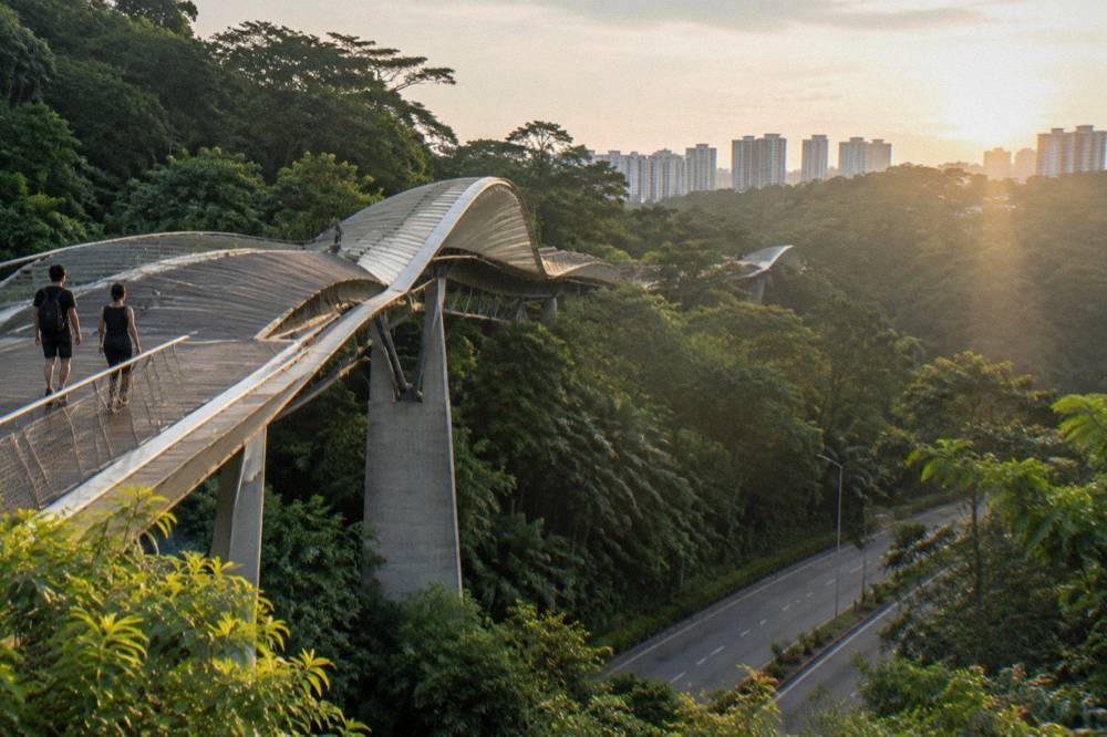 Pedestrian bridge spanning a green valley between two forested hills