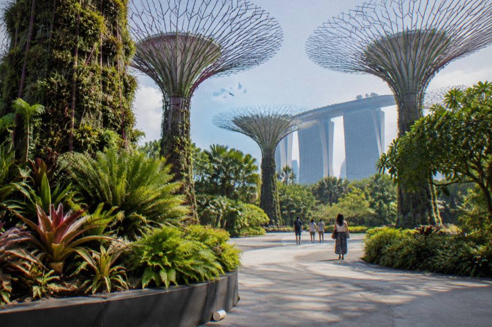 Tree-like garden towers standing over planted walkways in daylight
