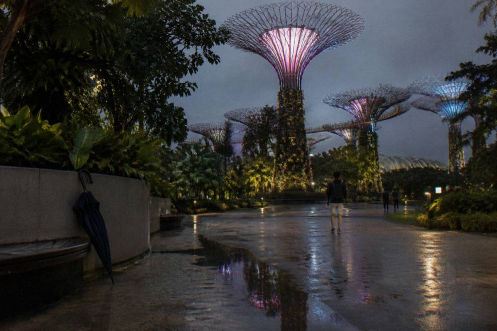 Illuminated tree towers glowing with coloured light against a dark sky