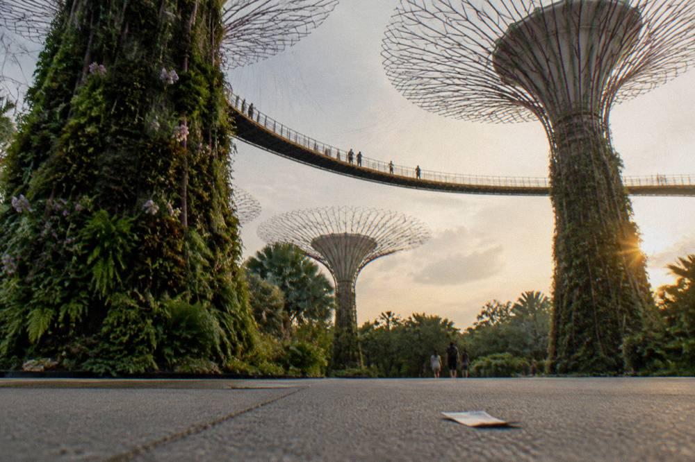 An elevated walkway stretching between tall tree-like garden towers
